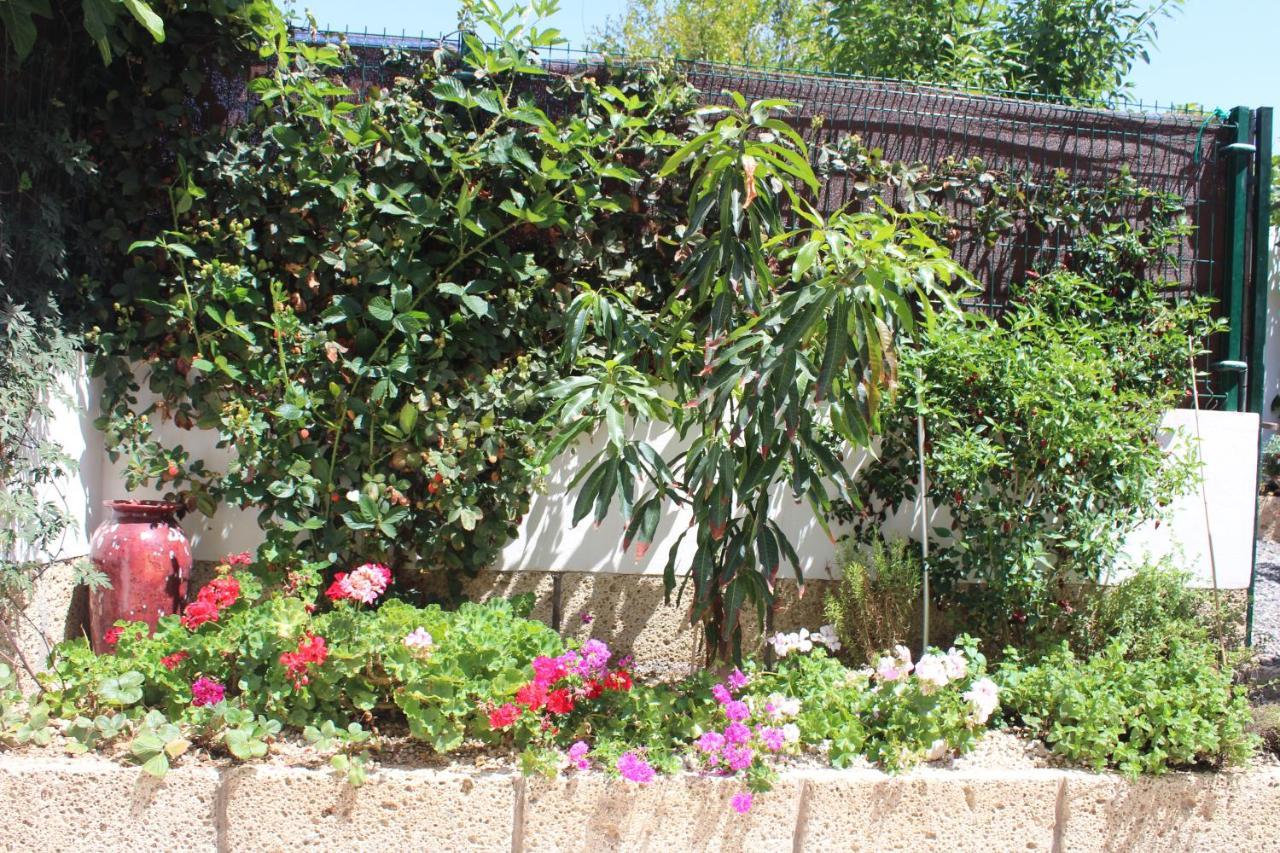 Valle de San Lorenzo Casa El Olivo, Tenerife מראה חיצוני תמונה